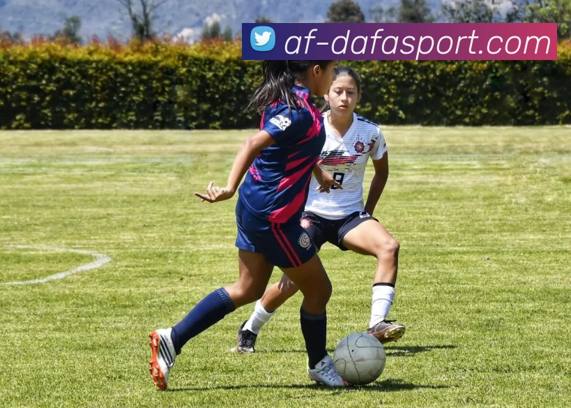 大发体育投注平台生态图